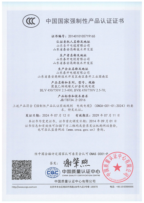 聚氯乙烯绝缘无护套电线电缆