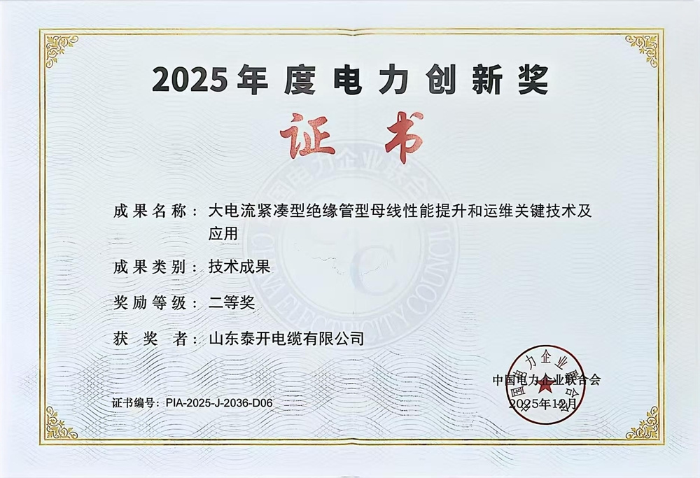 中国电力企业联合会电力创新奖（大电流紧凑型绝缘管型母线性能提升及运维关键技术及应用）